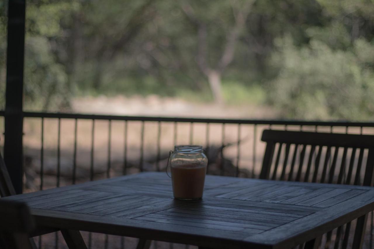 Hello Kruger Hideaway Cottage & Skilpad Studio 玛洛斯帕克 外观 照片