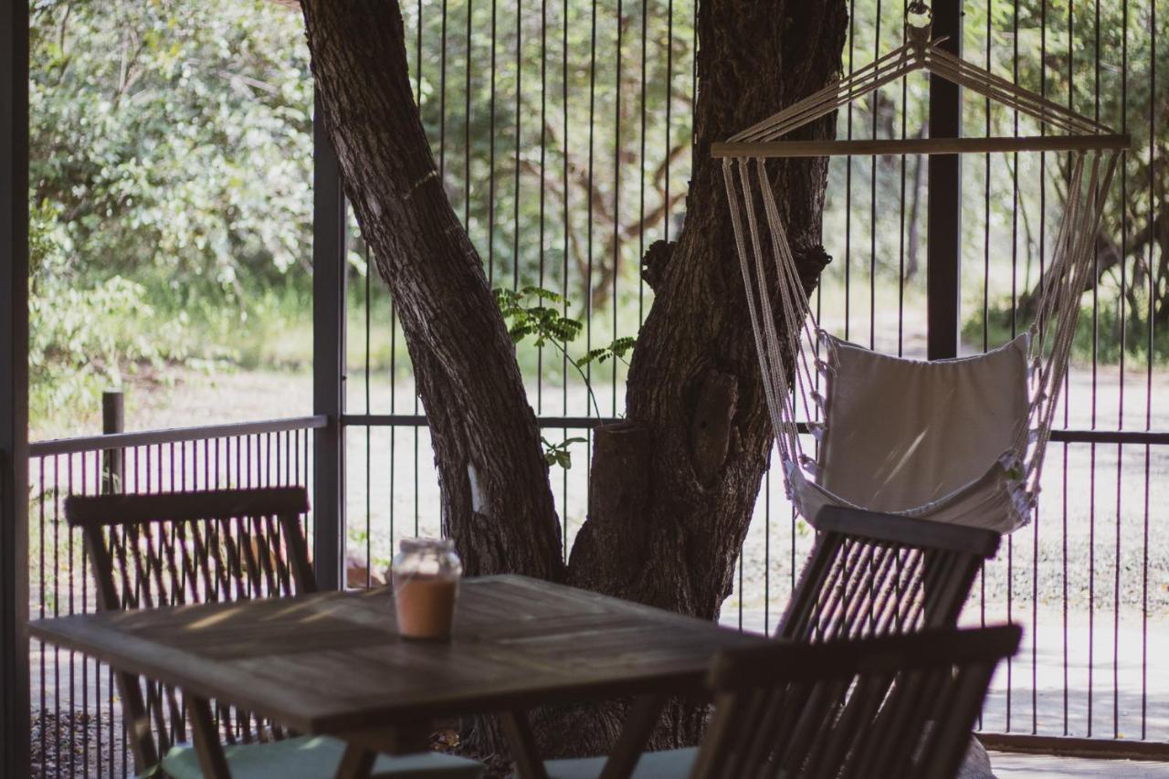 Hello Kruger Hideaway Cottage & Skilpad Studio 玛洛斯帕克 外观 照片