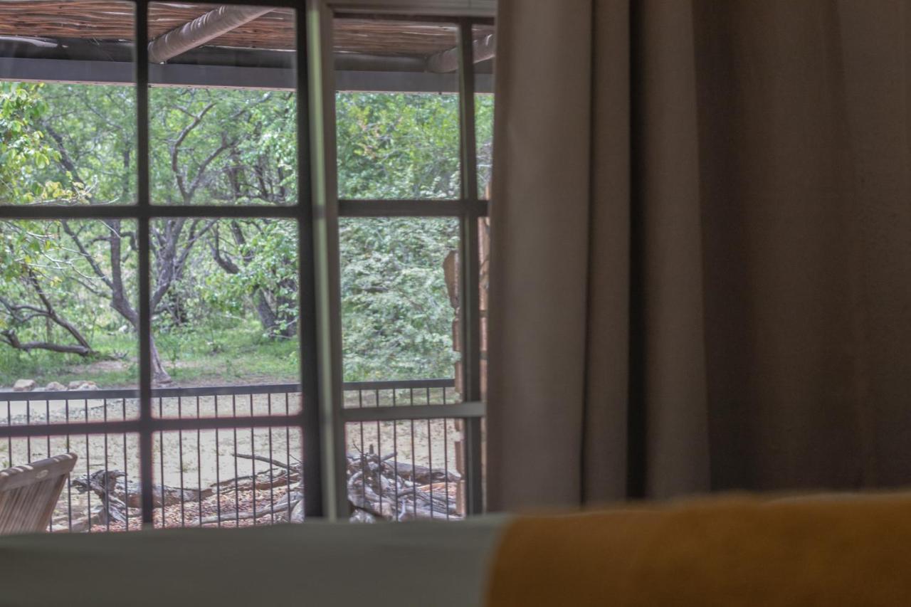 Hello Kruger Hideaway Cottage & Skilpad Studio 玛洛斯帕克 外观 照片
