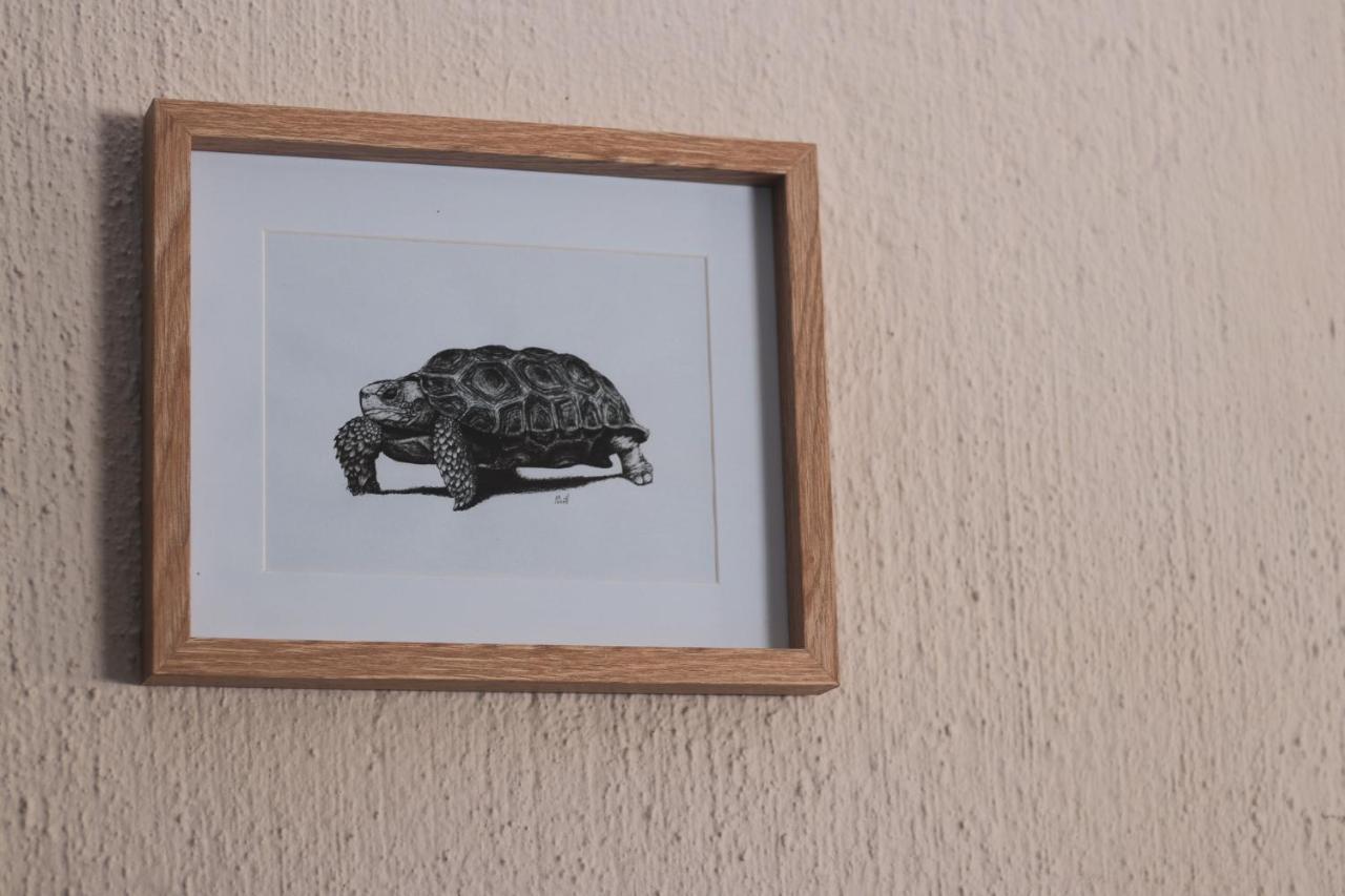 Hello Kruger Hideaway Cottage & Skilpad Studio 玛洛斯帕克 外观 照片