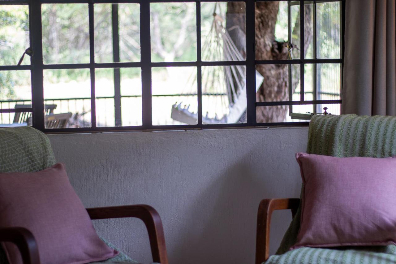 Hello Kruger Hideaway Cottage & Skilpad Studio 玛洛斯帕克 外观 照片