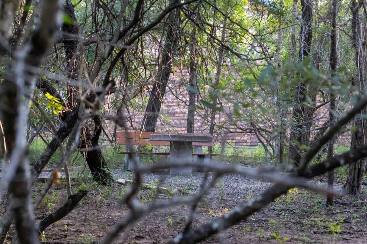 Hello Kruger Hideaway Cottage & Skilpad Studio 玛洛斯帕克 外观 照片