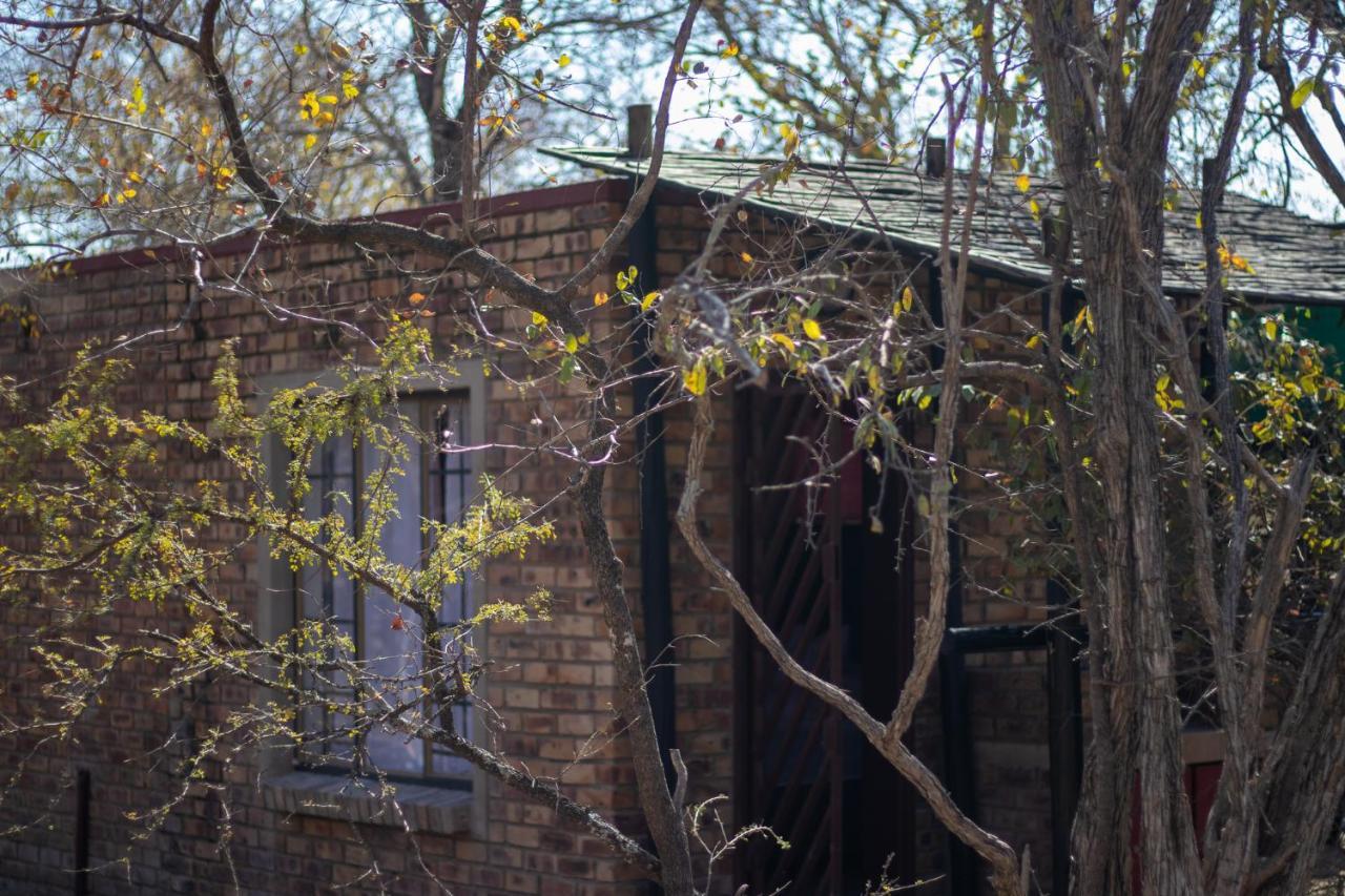 Hello Kruger Hideaway Cottage & Skilpad Studio 玛洛斯帕克 外观 照片